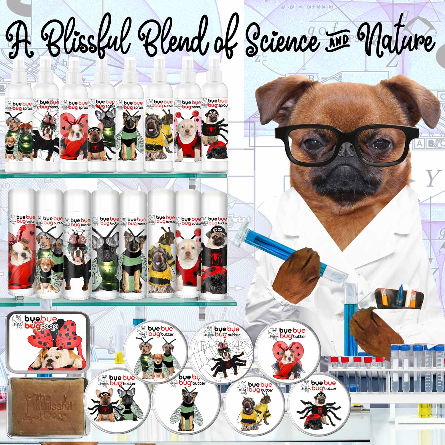 smooth brussels griffon scientist